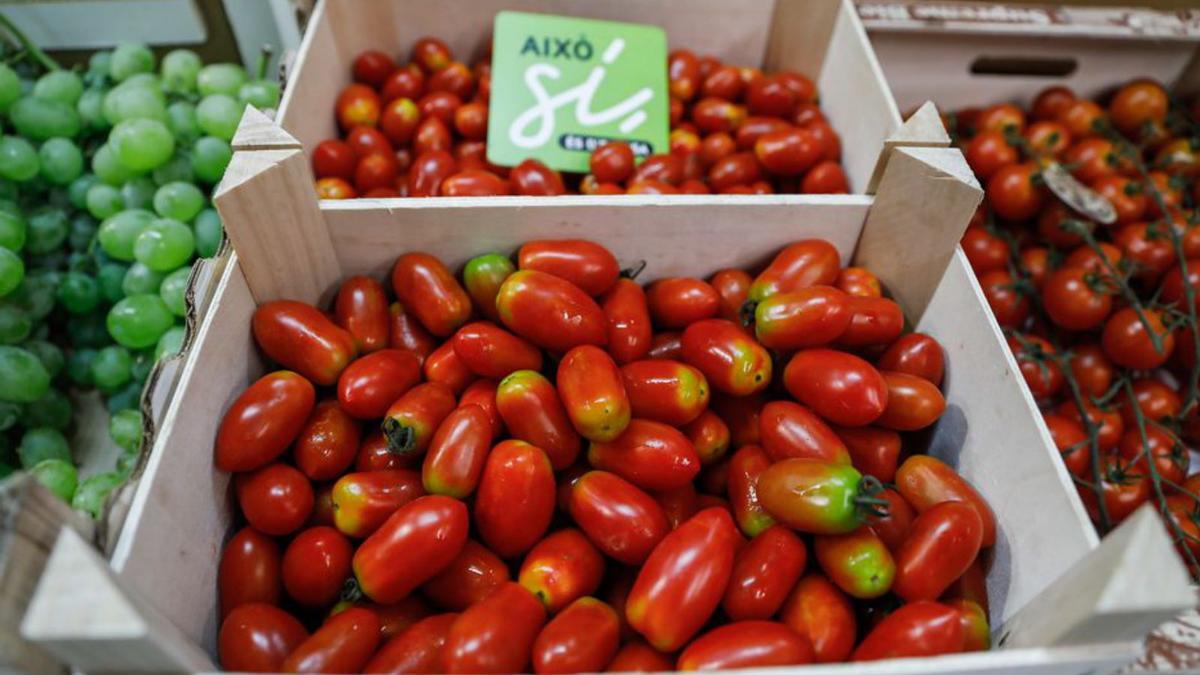 Tomates  cultivados en Ibiza. | ZOWY VOETEN