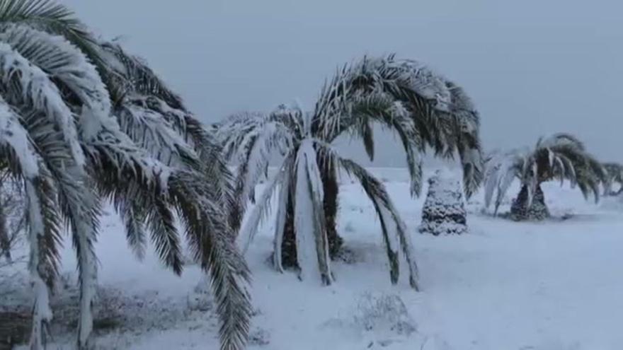 Vídeo / Imagen insólita de la nieve cubriendo playas de Torrevieja y Denia