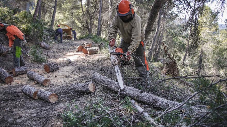 El Consell destinará cerca de 600.000 euros para actuaciones de prevención de incendios en l&#039;Alcoià-El Comtat