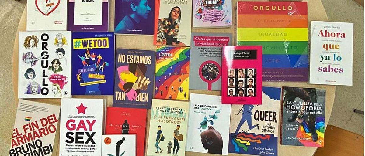 Parte de los libros que la jueza ha ordenado retirar.