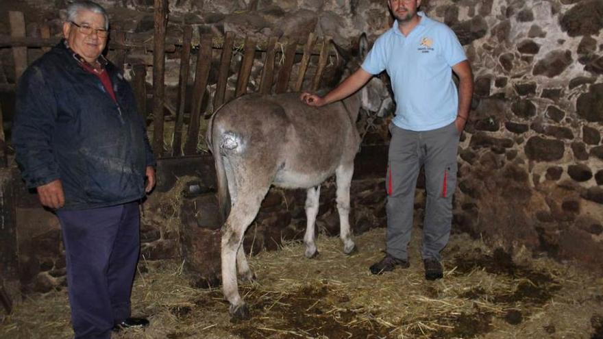 José Luis Rodríguez muestra uno de sus animales mordidos, junto a Juan Manuel Menéndez.