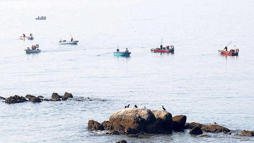 Decenas de barcos acudieron a mariscar frente a las costas de Tirán// Gonzalo Núñez