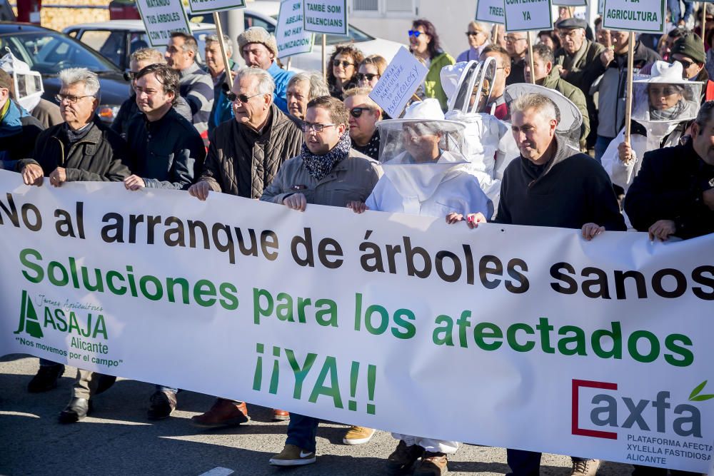 Agricultores de la provincia se manifiestan contra el plan de erradicación de la Xylella del Consell