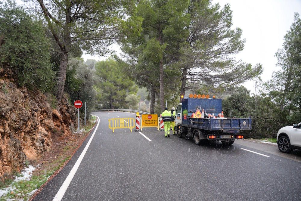 Der frühe Schnee hat am Samstag (2.12.) zahlreiche Insulaner in die Tramuntana gelockt, wo es die seltene Gelegenheit zu Schneeballschlachten oder zum Bau von Schneemännern gab.