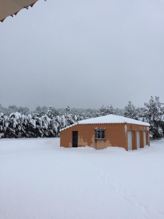 Nieve en el valle de Ayora y Cofrentes.