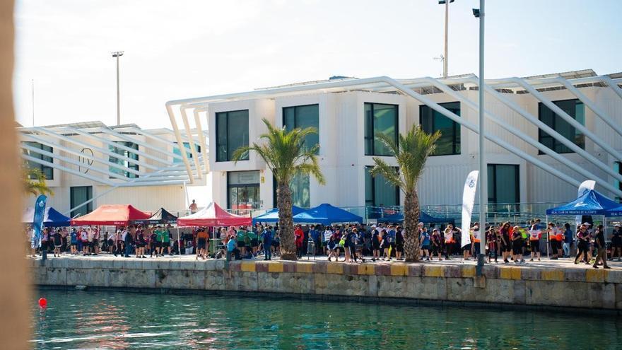 Más de 300 personas participan con la Dragon Boat en el Real Club de Regatas de Alicante