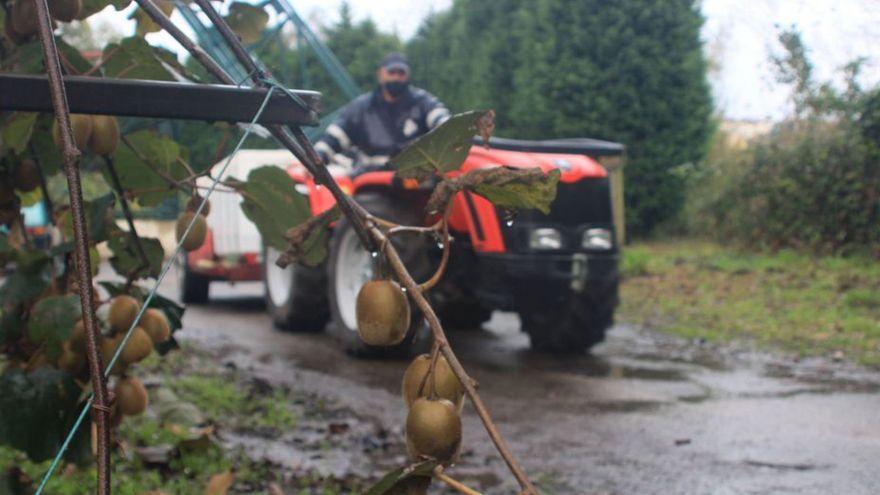 Un tractor en la isla de Arcubín