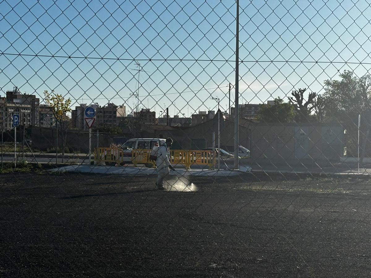 Un técnico del Ayuntamiento de Elche fumigaba con herbicida el nuevo aparcamiento este jueves por la mañana