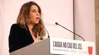 La Generalitat avisa a los eurodiputados que analizan la inmersión lingüística: "El modelo no se toca"