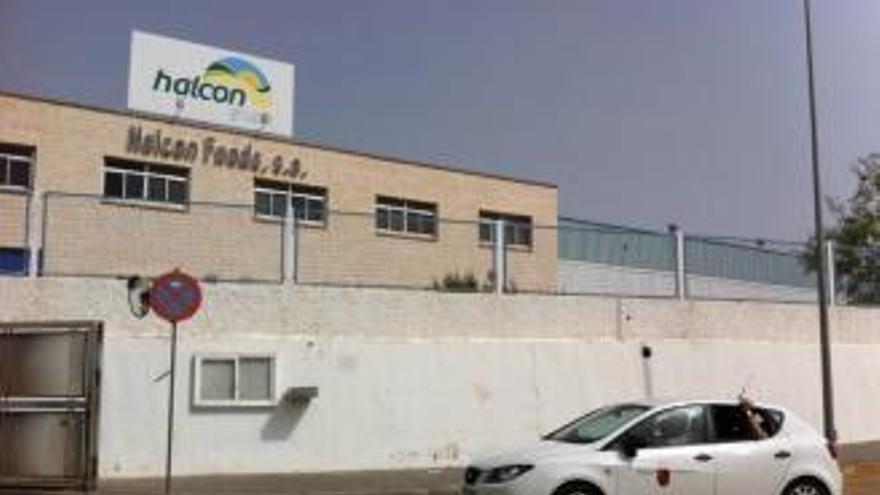 El TSJRM anula el ERE que afectó a 118 trabajadores de la conservera Halcón Foods