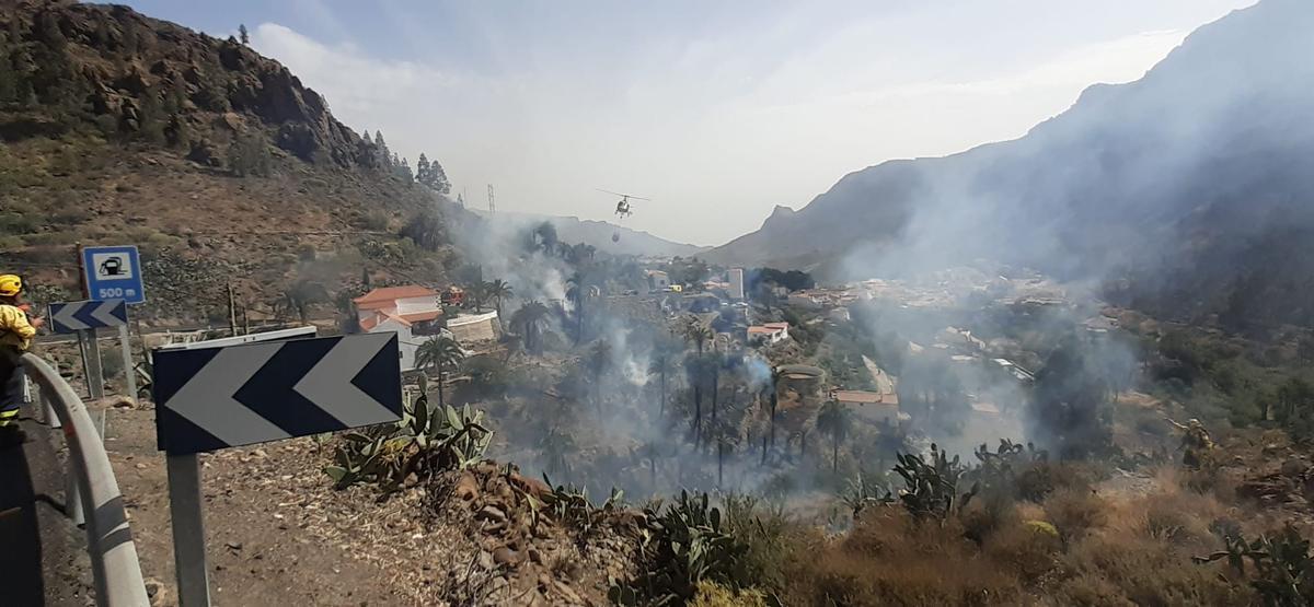 Incendio forestal en Fataga Incendio forestal en Fataga