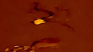 Aparece una serpiente en plena calle de Sevilla Este, donde también se han visto ratas bajo los coches