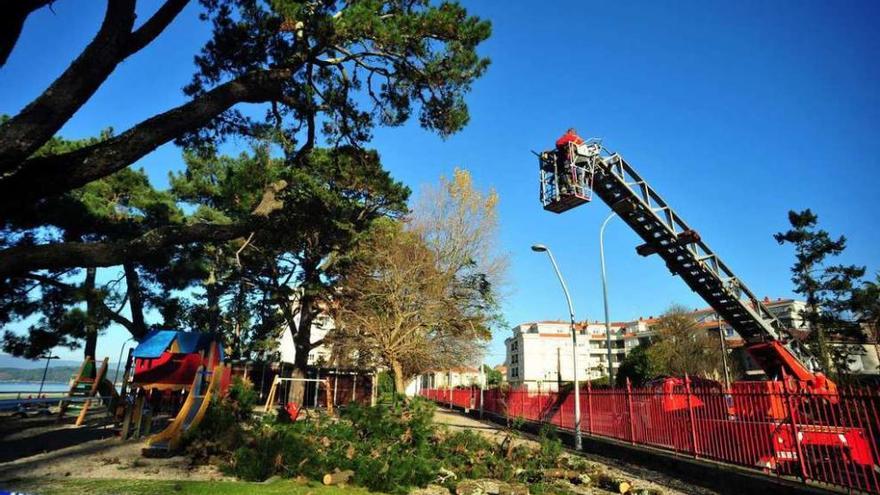 Los trabajos de poda selectiva realizados con grúa por personal municipal en el Parque de la Playa de Compostela. // Iñaki Abella