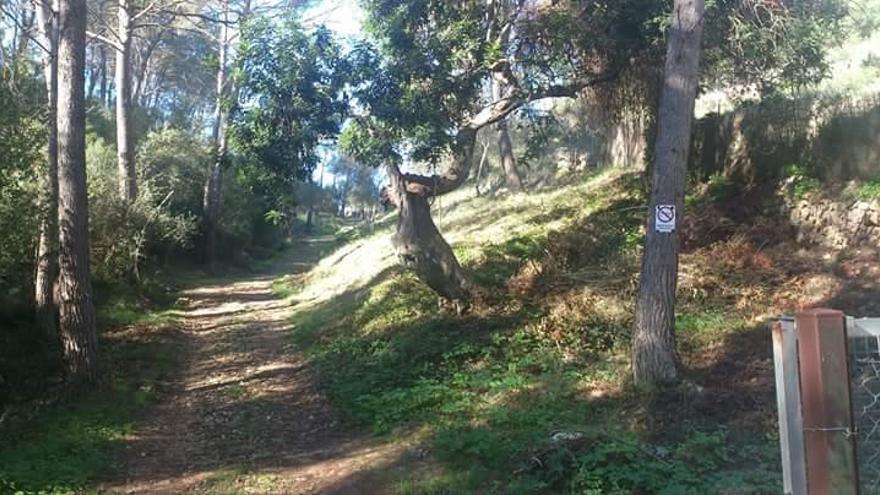 Camino del Molí des Castellet