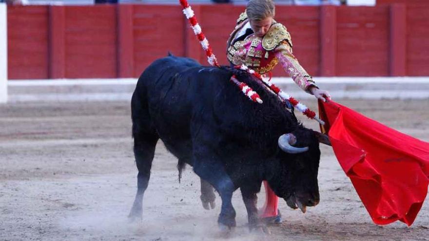 Clemente ejecuta un natural en la plaza de toros de Zamora.