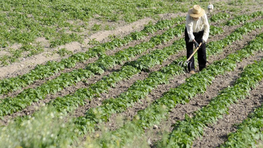 La «despensa de la aldea» se vacía por el éxodo del rural y el envejecimiento