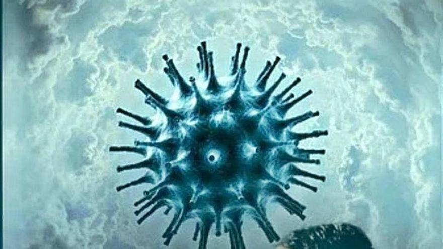 Ideas erróneas sobre humanos, animales y el famoso coronavirus