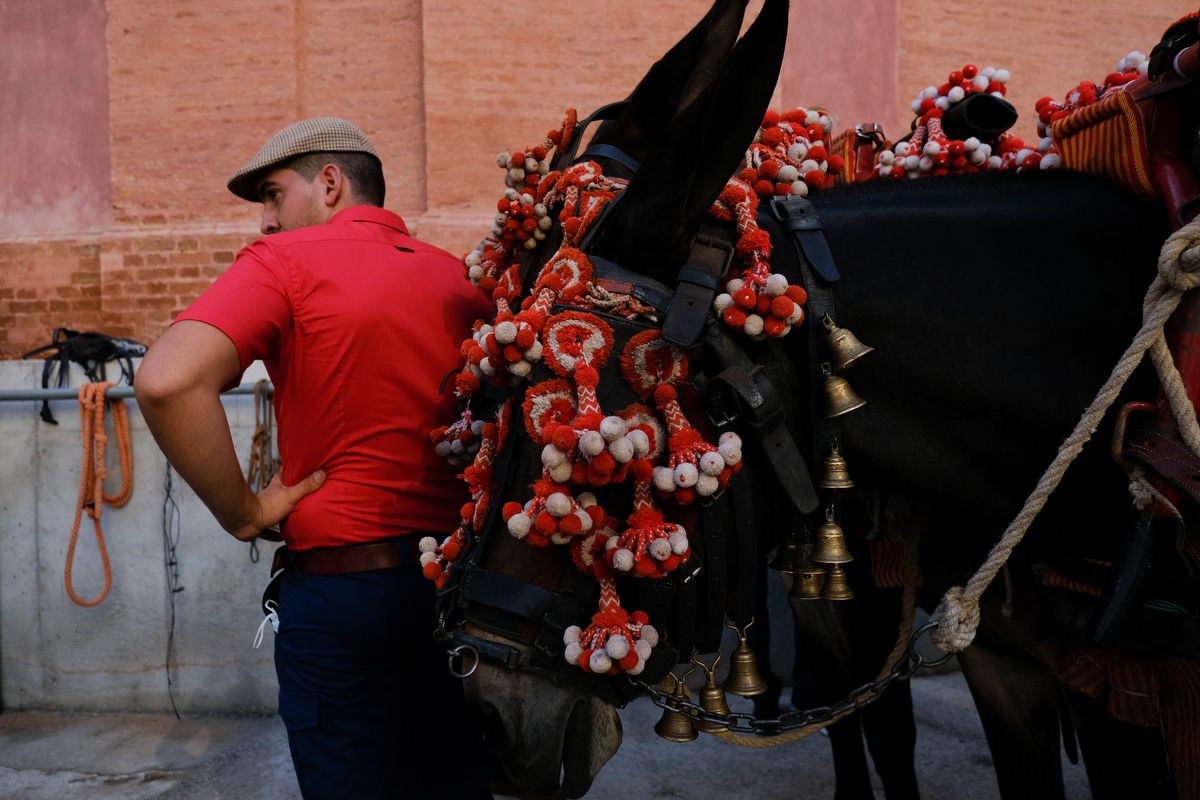 Los toros vuelven a La Malagueta