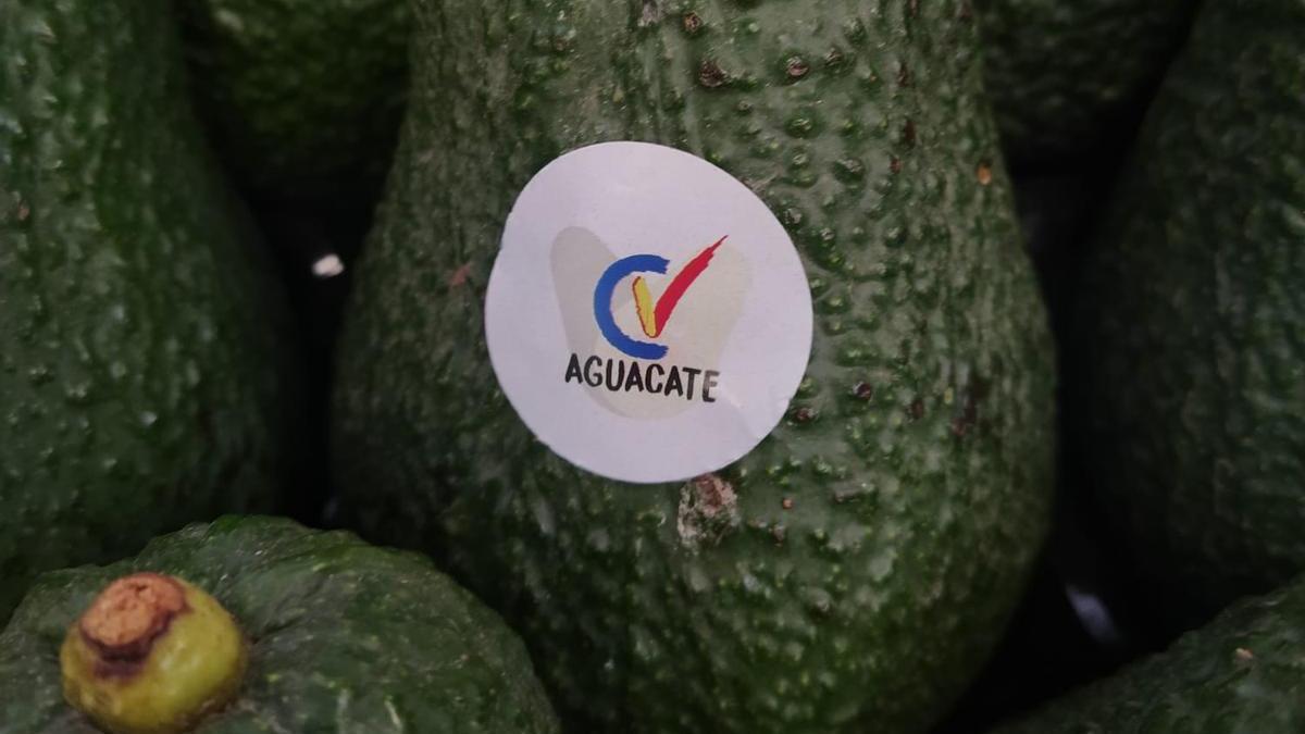 Los aguacates, con el sello de calidad &quot;CV&quot;