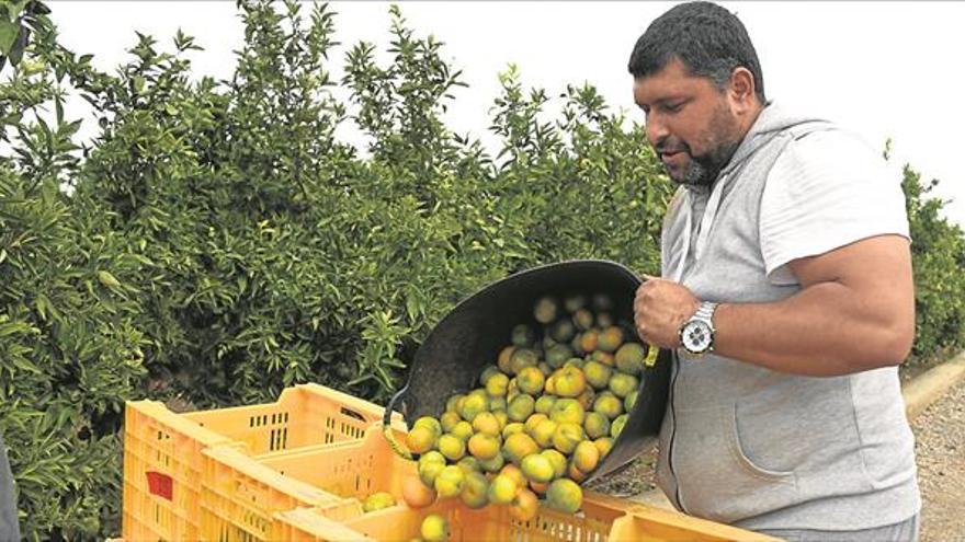 La campaña conduce al campo a pérdidas mayores que en la pasada