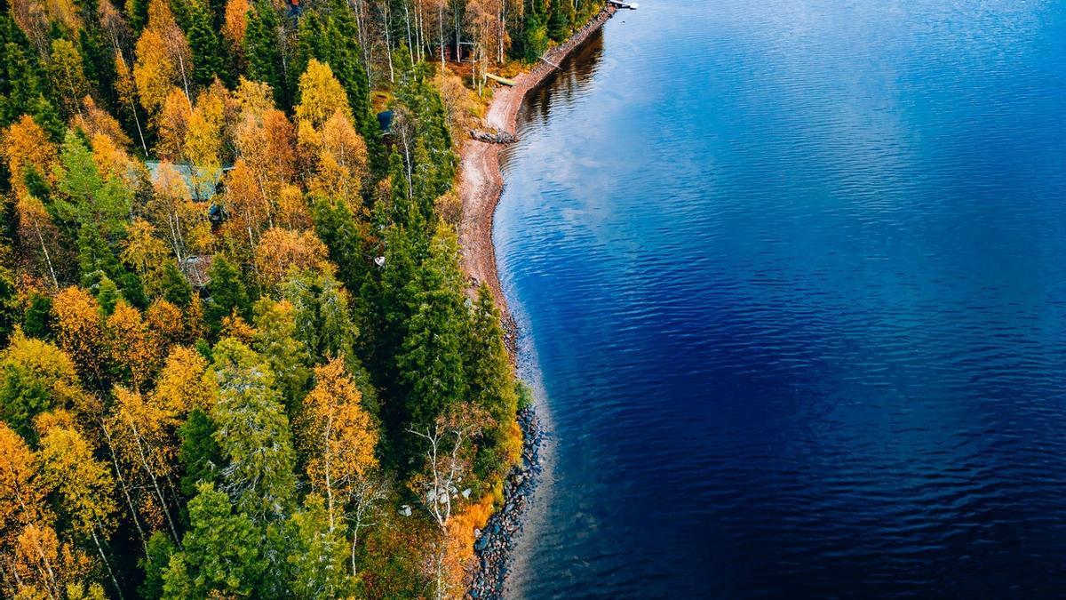 Bosque junto al lago azul, Finlandia