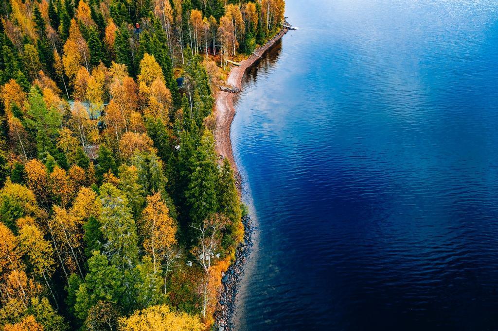 Bosque junto al lago azul, Finlandia