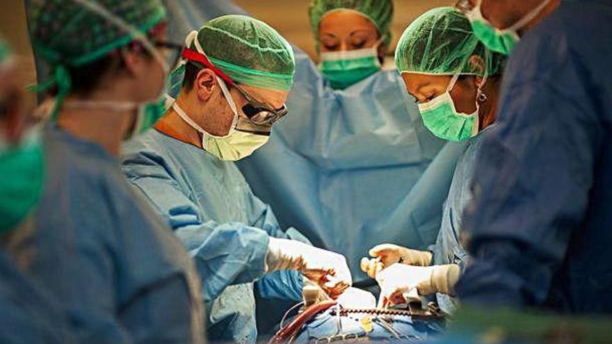 Una operació de trasplantament de cor a Bellvitge