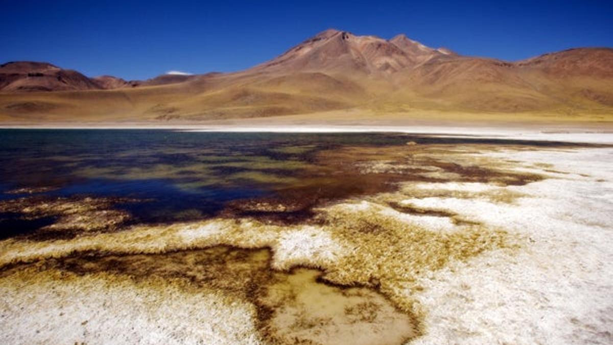 Lagunas Miñiques, en Atacama.  Foto: Álvaro Arriba.