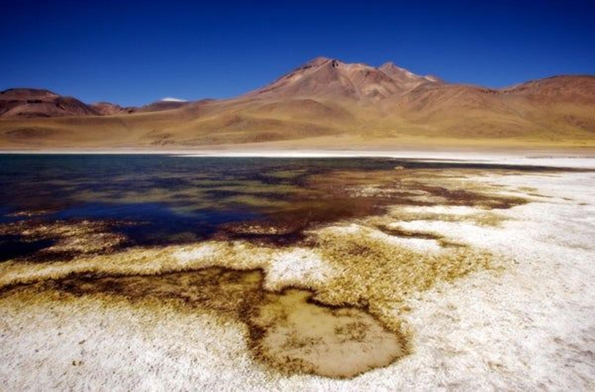 Lagunas Miñiques, en Atacama.  Foto: Álvaro Arriba.