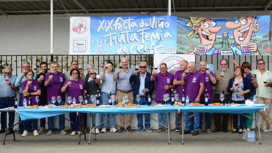 La fiesta del Tinta Femia de Cela regresa con 10 cosecheros y Juan Veiga como pregonero