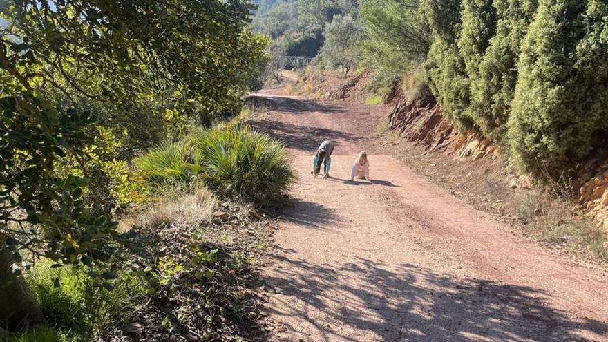 ITINERARIOS. Todas las rutas pueden completarse de forma autónoma. | MIRA