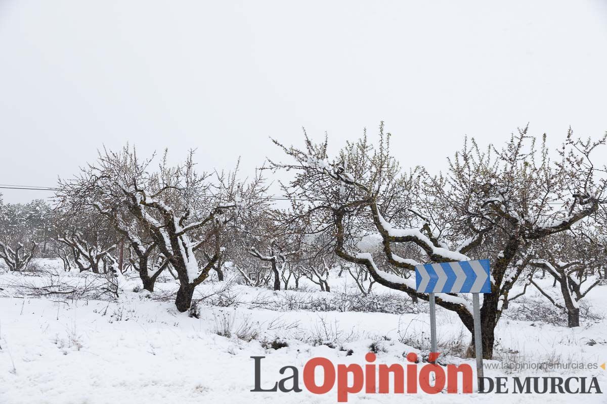 Continúa la nevada en las zonas altas de la comarca del Noroeste