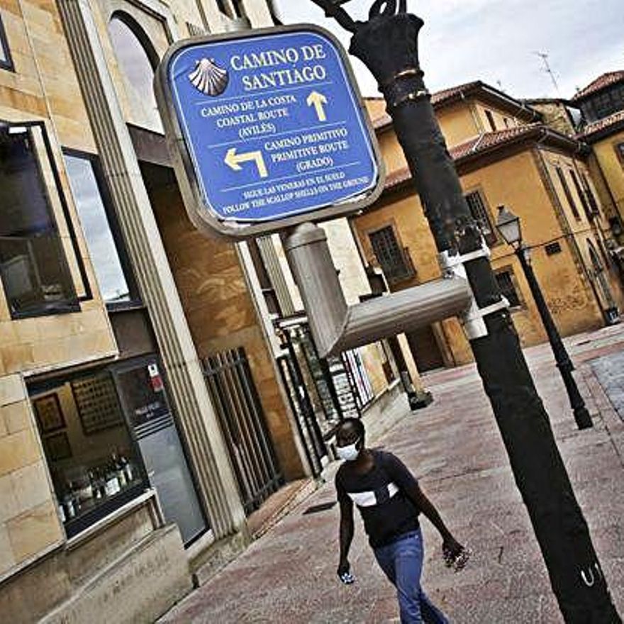 Practicantes de marcha nórdica y caminantes en una senda verde en Oviedo. | Irma Collín / foto cedida a LNE