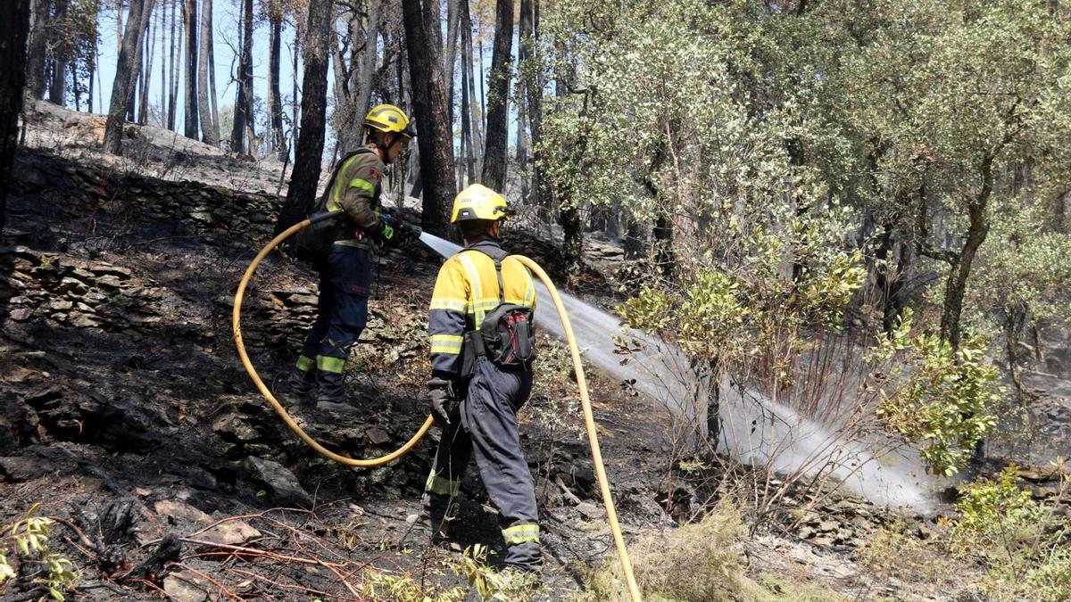 Els Bombers treballant en les tasques d’extinció de les flames a la zona de les Gavarres.  | XAVIER PI (ACN)