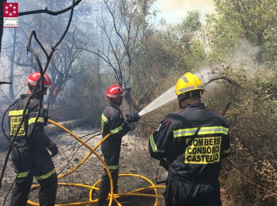 Incendio forestal en Artana