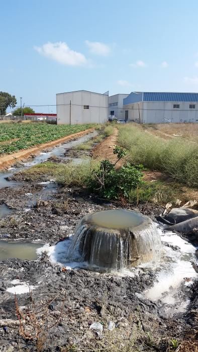 Un "monstruo de las toallitas" de 350 kilos en San Javier