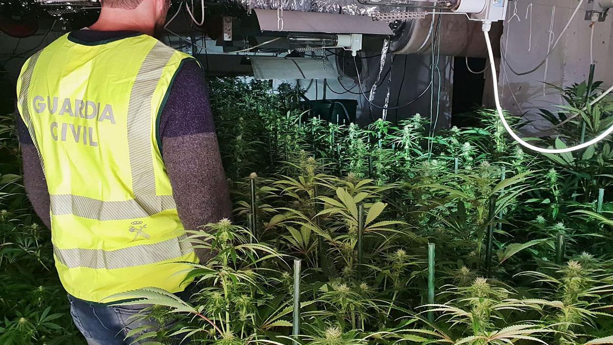 Imagen de una actuación de la Guardia Civil contra una plantación de marihuana en Mallorca.