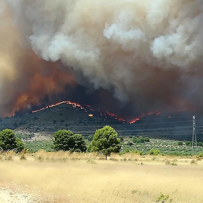 Declarado un incendio en una zona de barranco de Beneixama