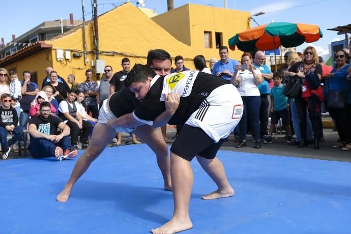 Día del artesano y del labrador en las fiestas ...