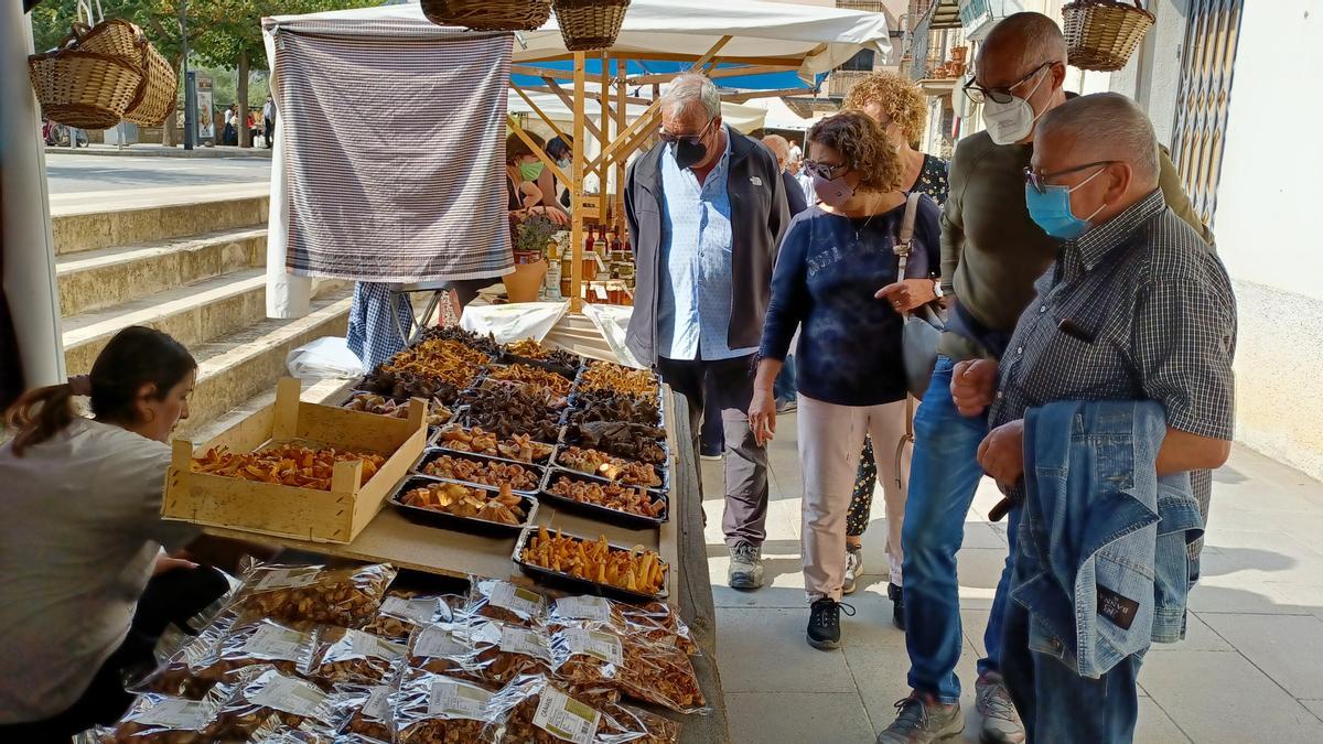 Visitants a la Fira del Bolet i del Boletaire del 2021