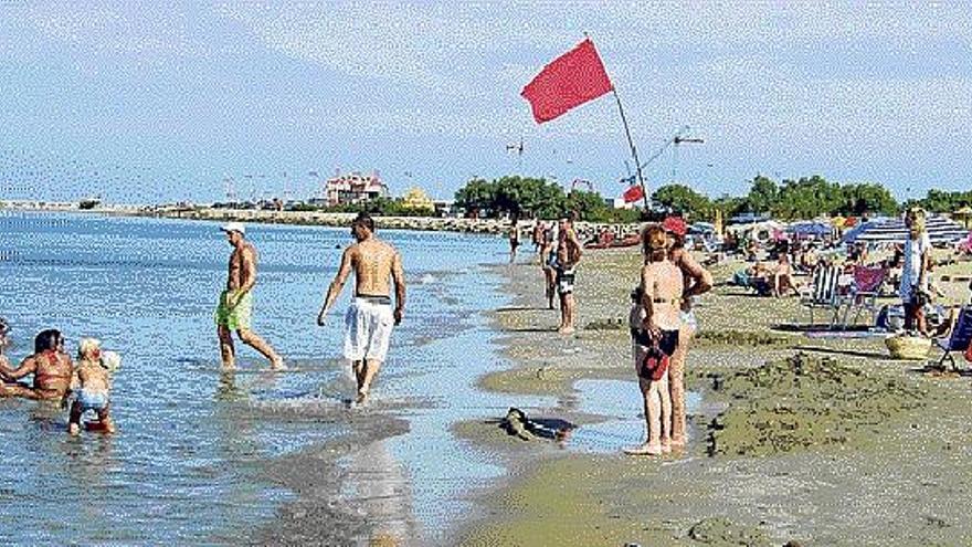 Las banderas rojas ondearon ayer en la orilla de la playa del Raset.