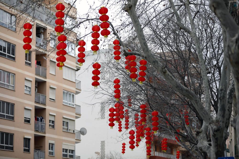 Celebración del Año Nuevo Chino en Pere Garau