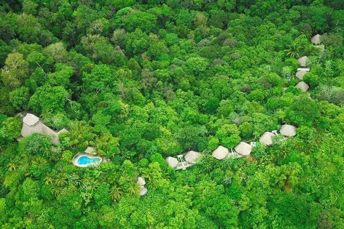 Lapa Ríos Costa Rica1