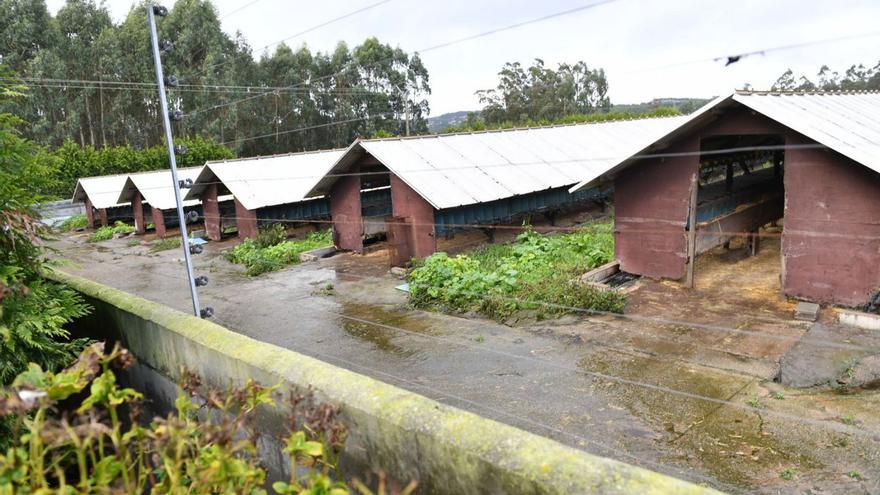 Vista de la granja de visones que sale a subasta en Carral. |   // VÍCTOR ECHAVE