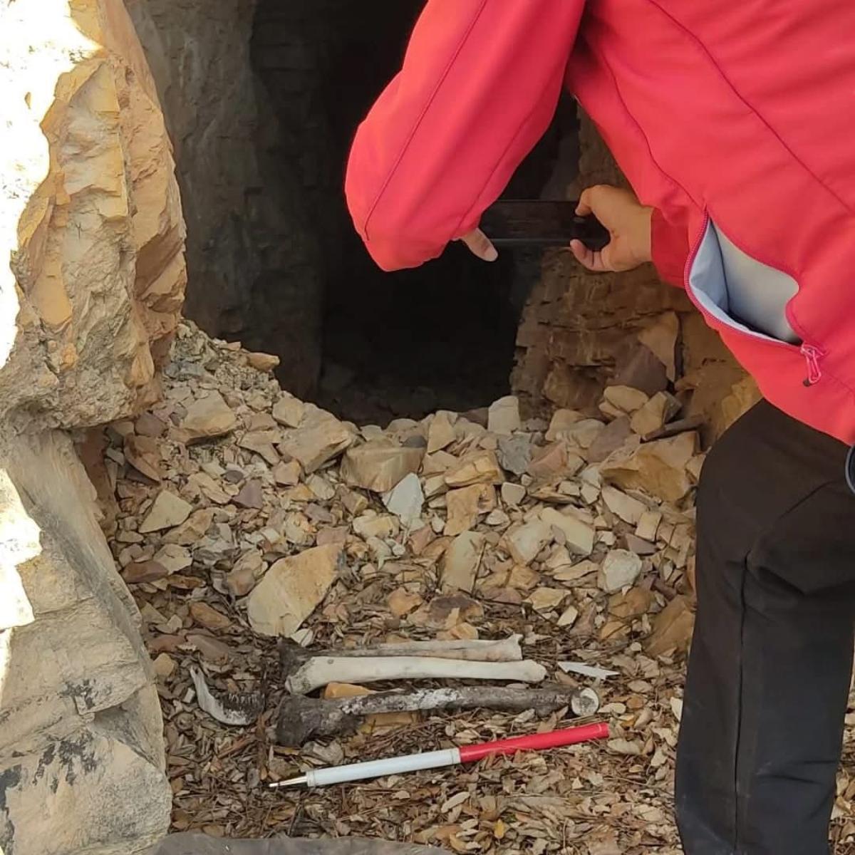 Algunos de los restos que han recuperado.