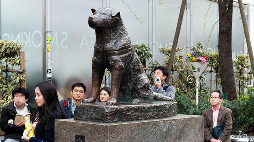 Estàtua de Hachiko, a Tokyo