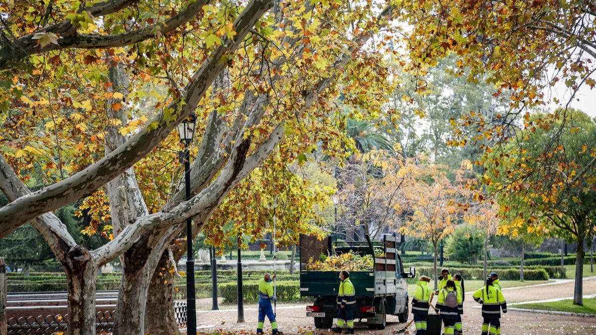 Trabajadores de Parques y Jardines en su jornada laboral