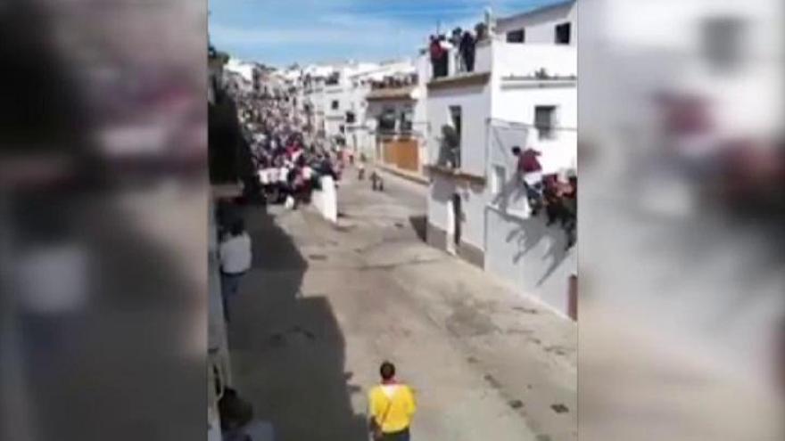 Fallece un hombre corneado por un toro en Arcos de la Frontera