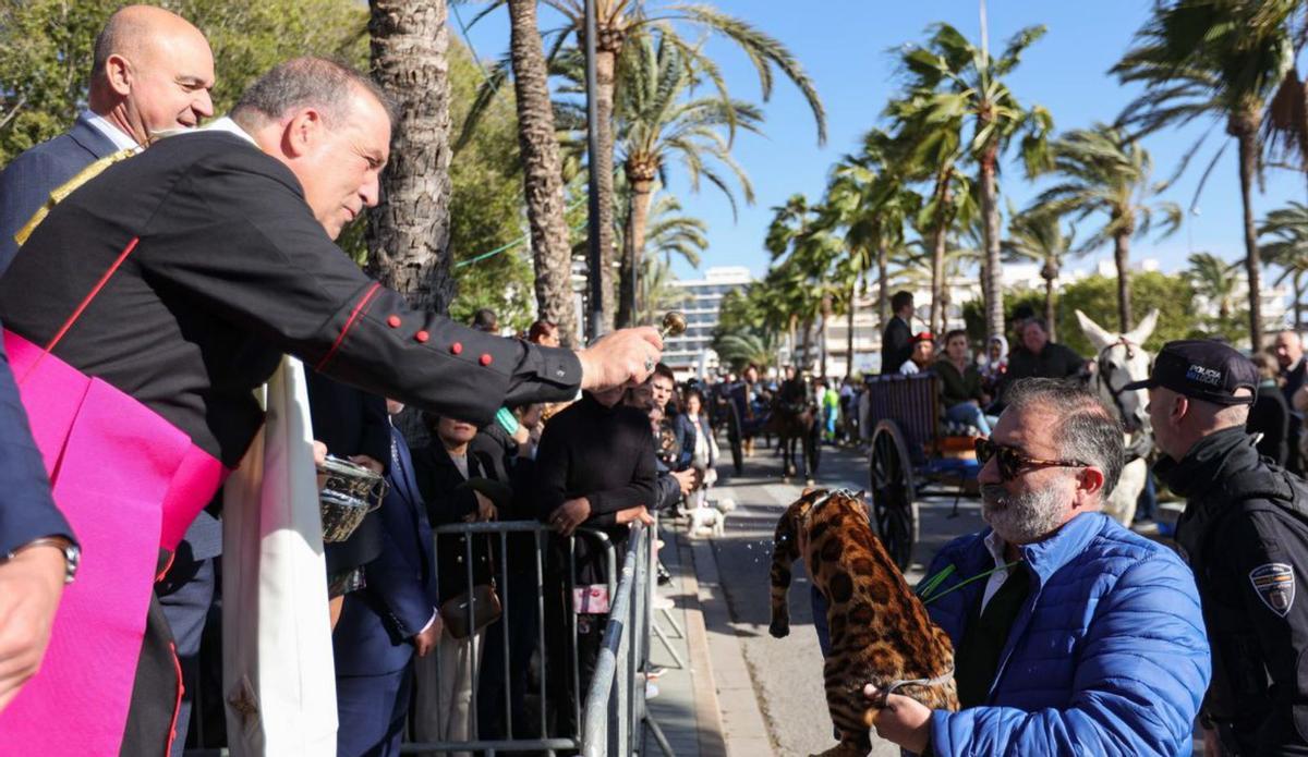 El obispo bendice a un gato en 2025