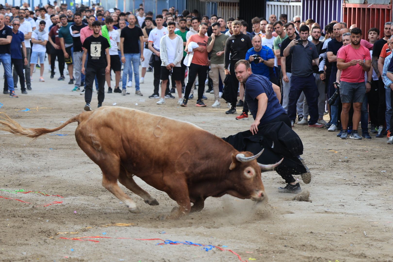 Fotos de la tarde taurina del jueves de las fiestas de Sant Pasqual en Vila-real